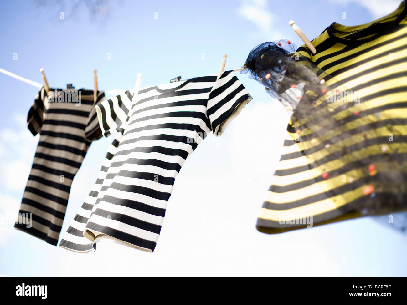 Tre striped t-shirts appendere fuori ad asciugare, Svezia. Foto Stock
