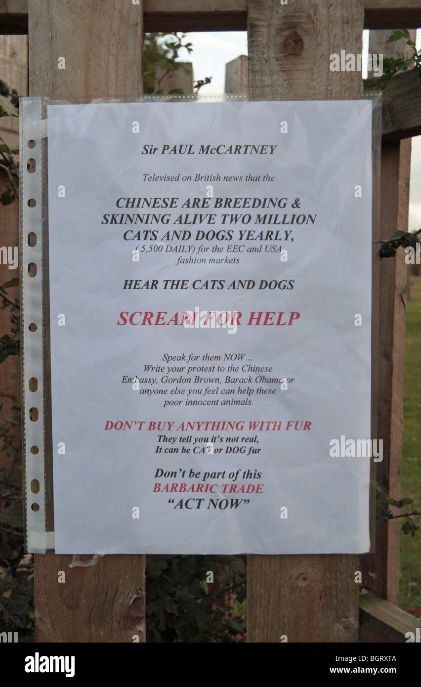 Una strana stampato il messaggio di protesta (commercio di pellicce in Cina) imperniata ad un albero in Bushy Park, Richmond, Regno Unito. (Successivamente rimosso) Foto Stock