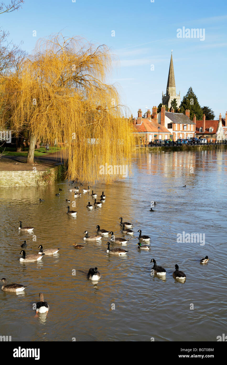 Abingdon sul Tamigi a metà inverno 3 Foto Stock