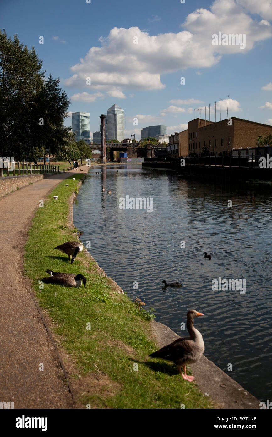 Alzaia di Regents Canal nella zona est di Londra. Canary Wharf in background. Foto Stock