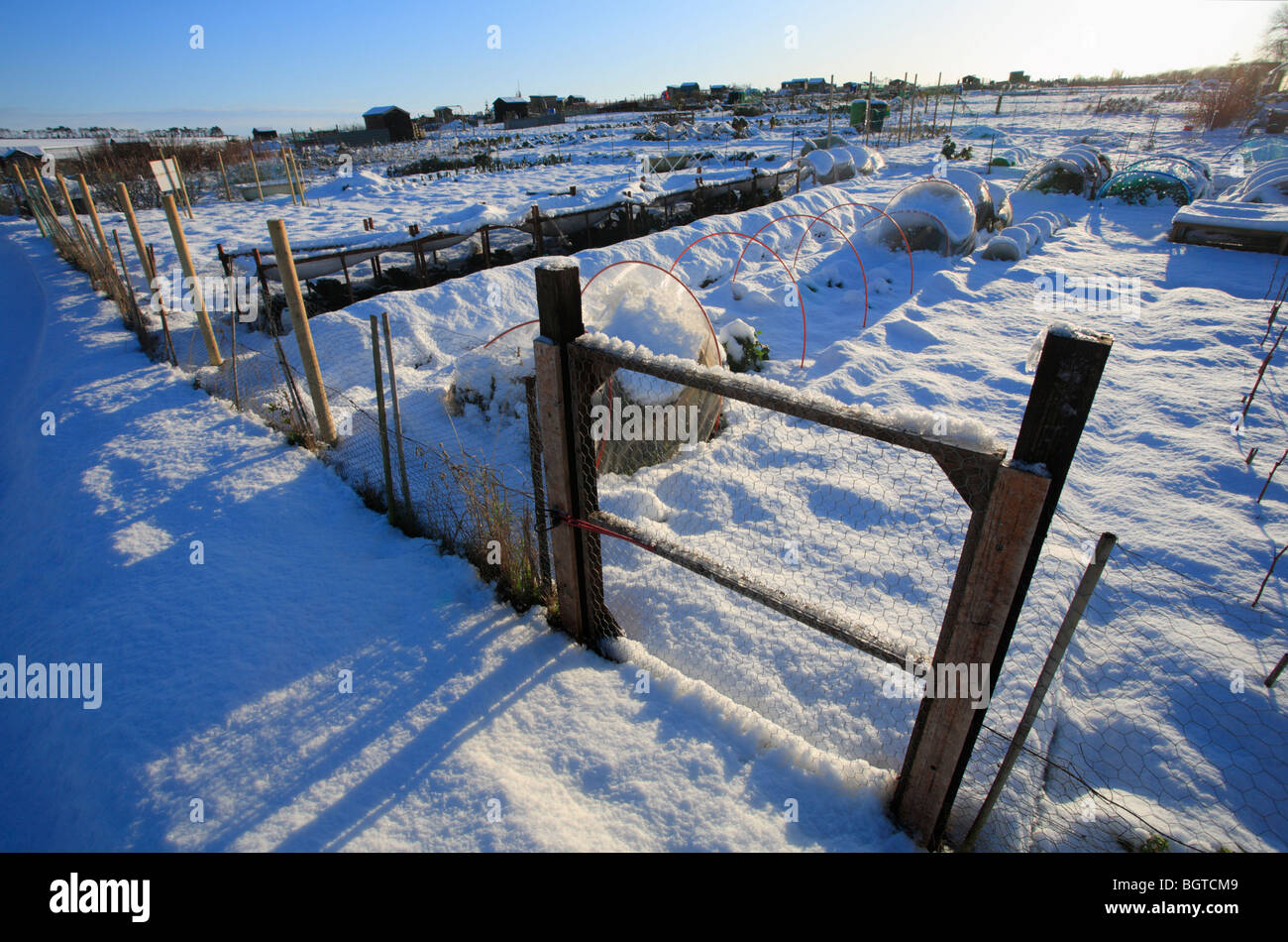 Assegnazioni in inverno con neve a Heacham, Norfolk. Foto Stock