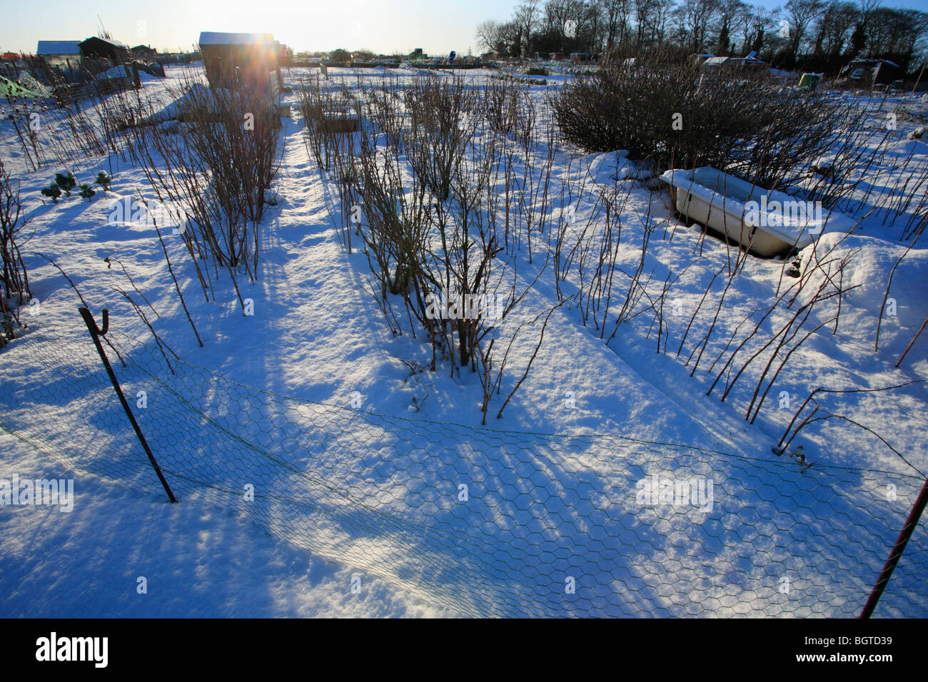 Assegnazioni in inverno con neve a Heacham, Norfolk. Foto Stock