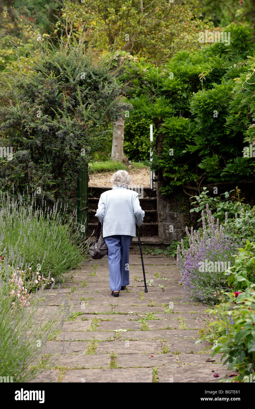 Capelli bianchi titolare di pensione o di rendita camminare in un giardino Foto Stock