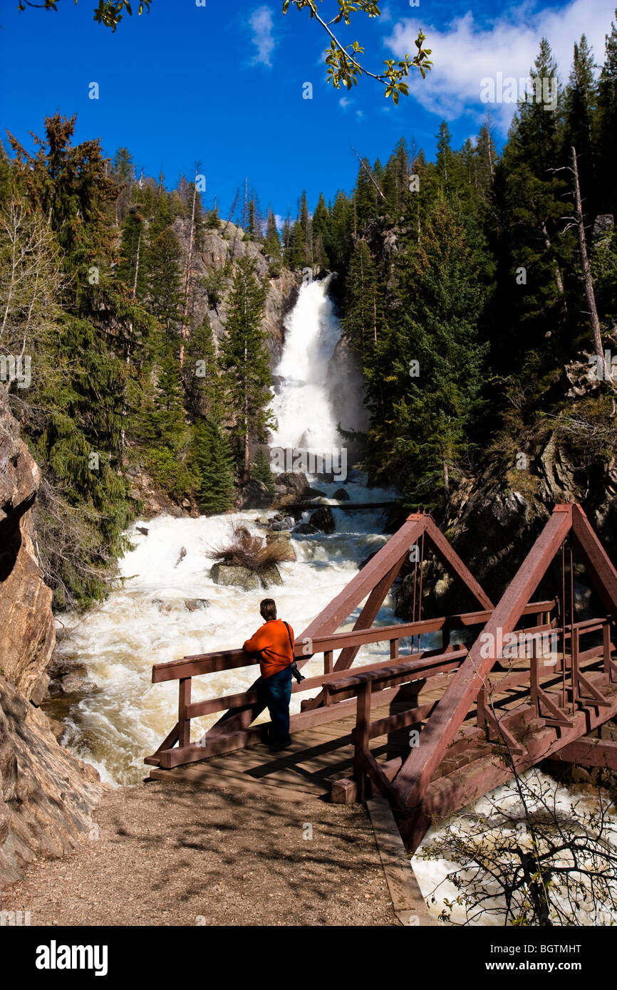 Una donna sul ponte di legno guardando sopra cade dal ponte di legno al Fish Creek Falls. Steamboat Springs, Colorado, STATI UNITI D'AMERICA Foto Stock