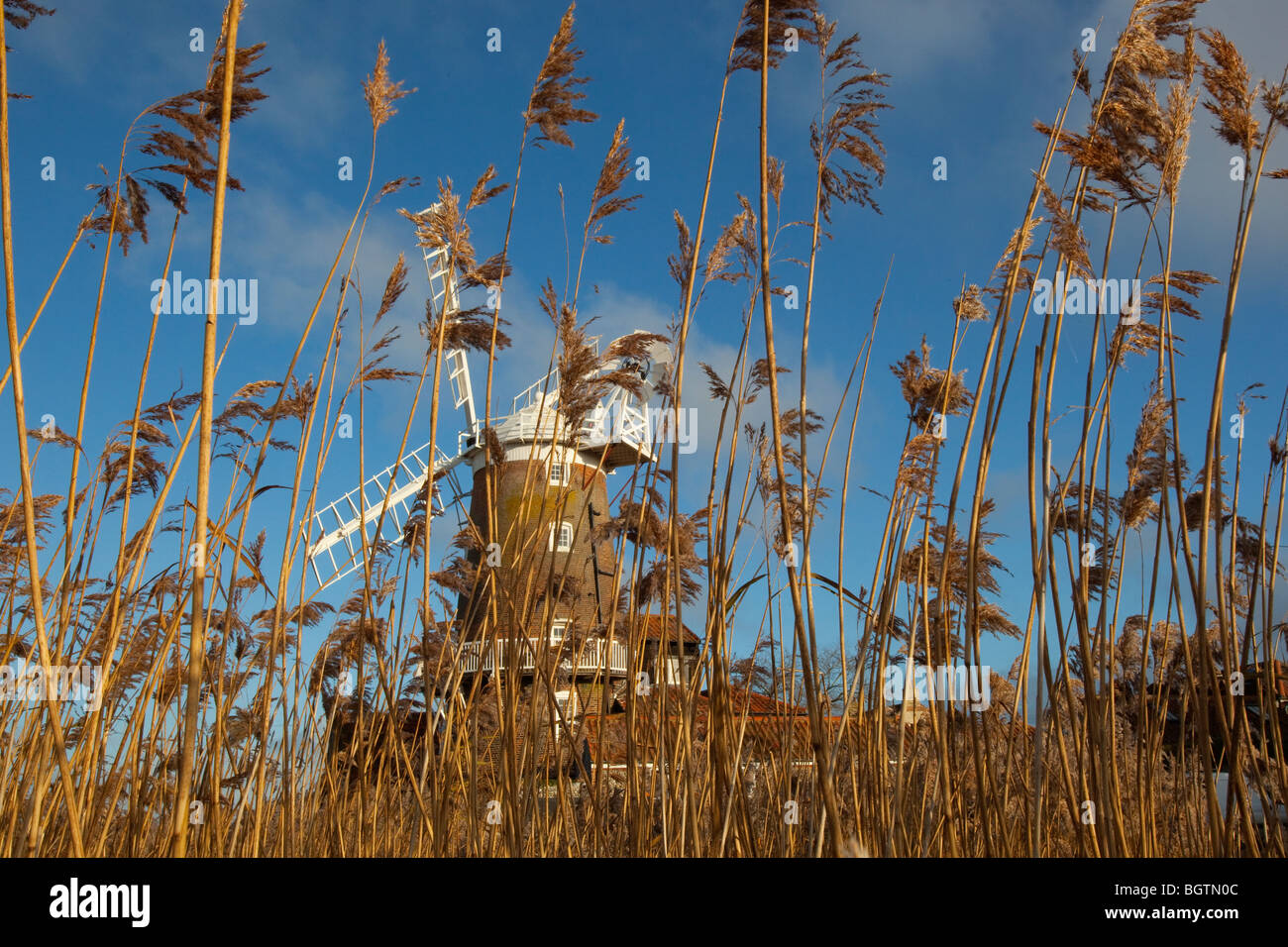 Mulino a vento di Cley e paludi sulla costa nord di Norfolk in Inverno Regno Unito Foto Stock