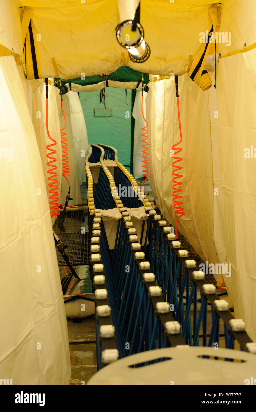 Massa cabina doccia di decontaminazione per incidenti CBRN Foto Stock