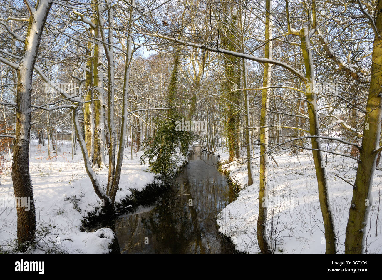 Inverno scena di neve con stream in esecuzione attraverso la coperta di neve bosco, Norfolk, Regno Unito Dicembre, Foto Stock