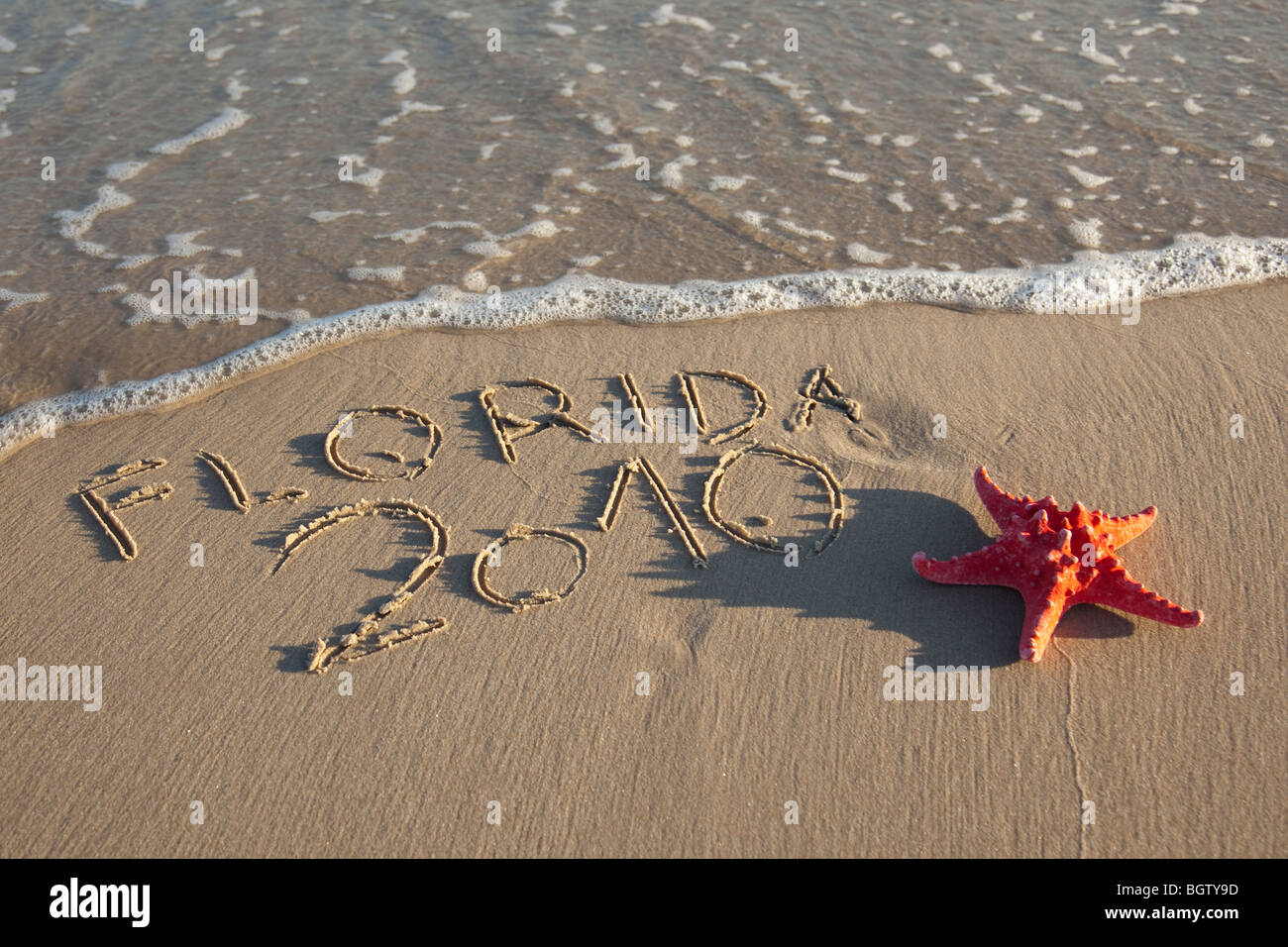 Red starfish e breve testo sulla sabbia bagnata Foto Stock