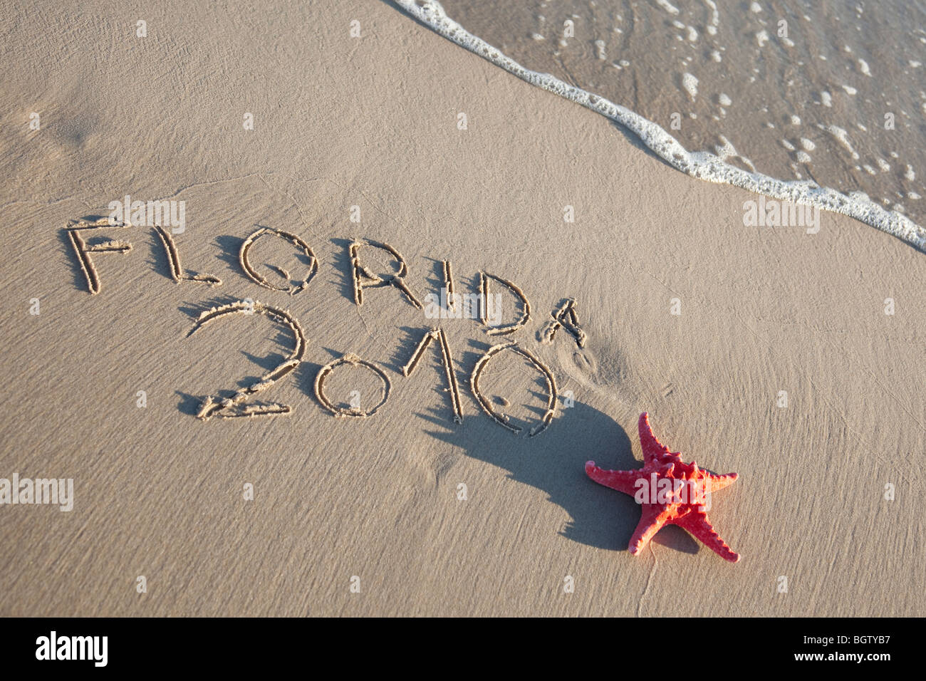 Red starfish e breve testo sulla sabbia bagnata Foto Stock