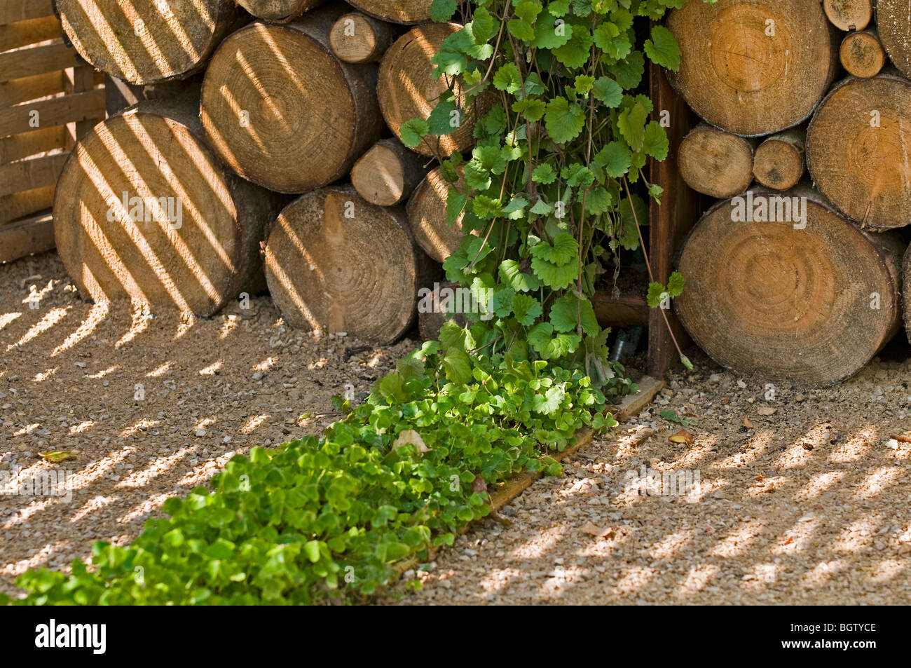 Parte di narrazioni di natura giardino disegnato da Hugo Bugg e Maren Hallenga come presentato in futuro giardini di St Albans nel 2009 Foto Stock