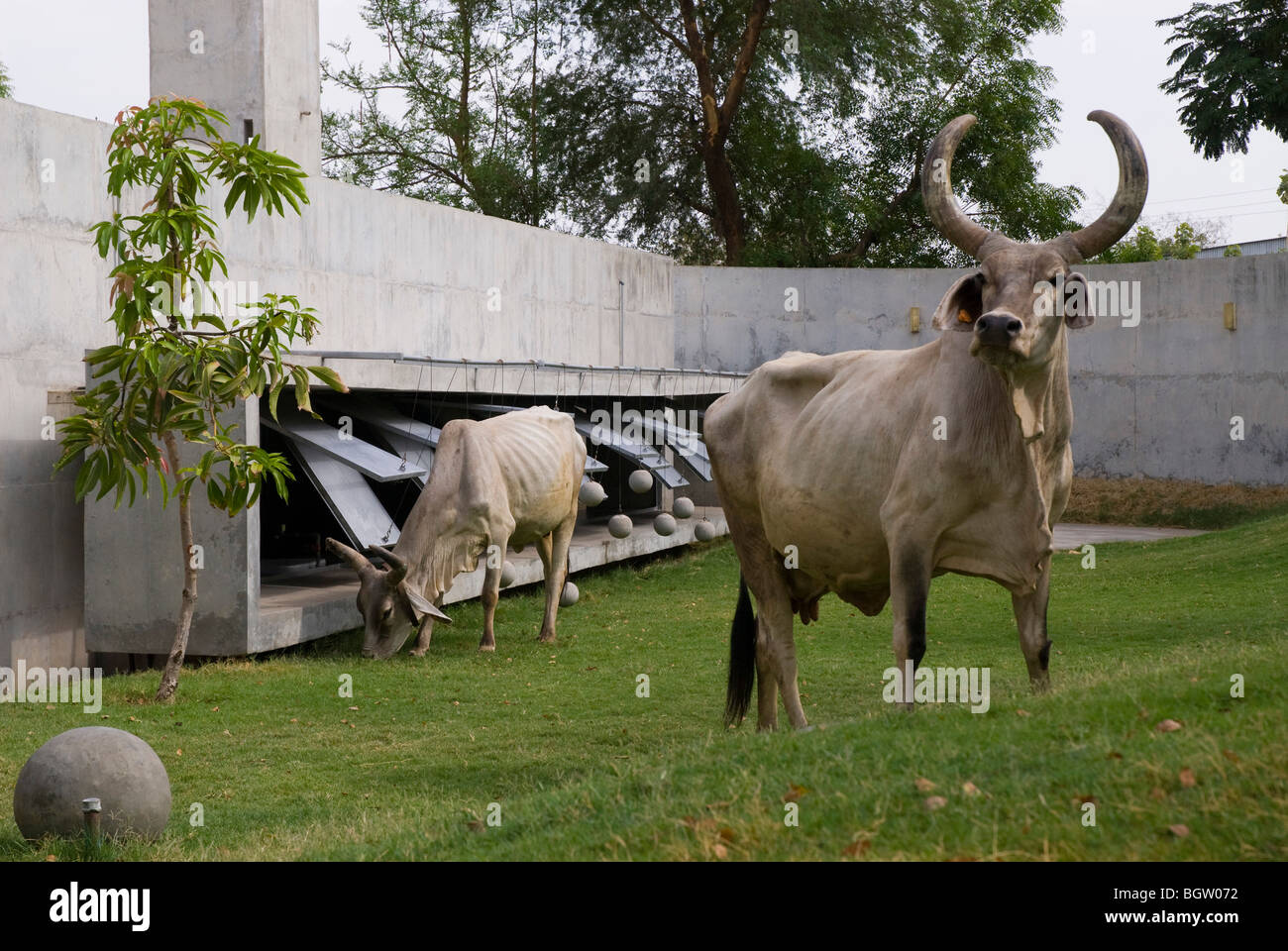 La casa con le palle, Ahmedabad, India, 2009 Foto Stock