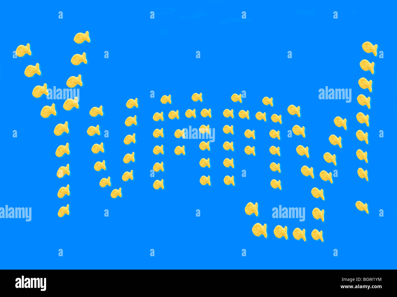 Yummy enunciato in goldfish Foto Stock