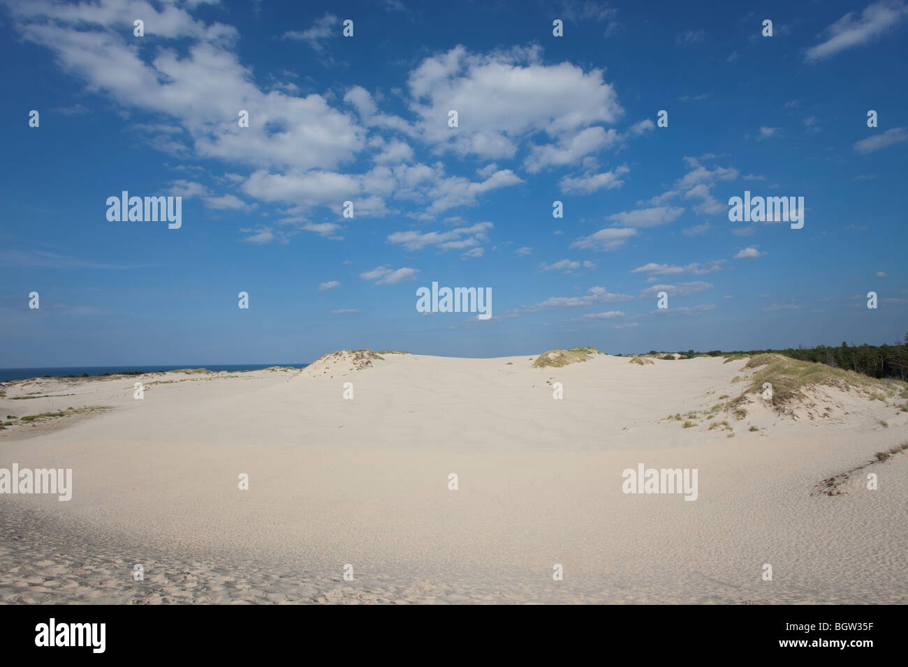 Onde di sabbia - formato da acqua e vento Foto Stock