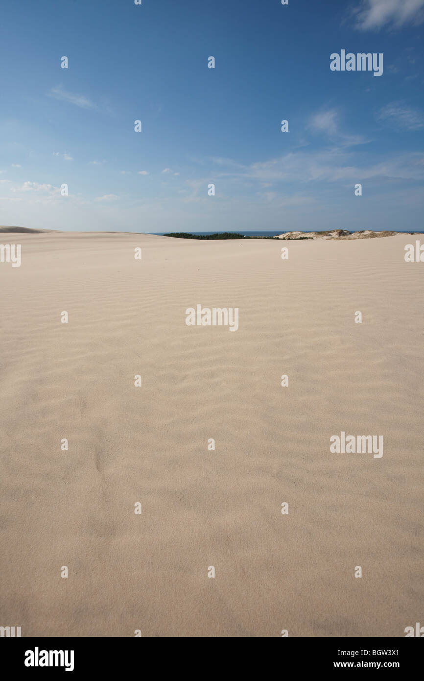 Onde di sabbia - formato da acqua e vento Foto Stock