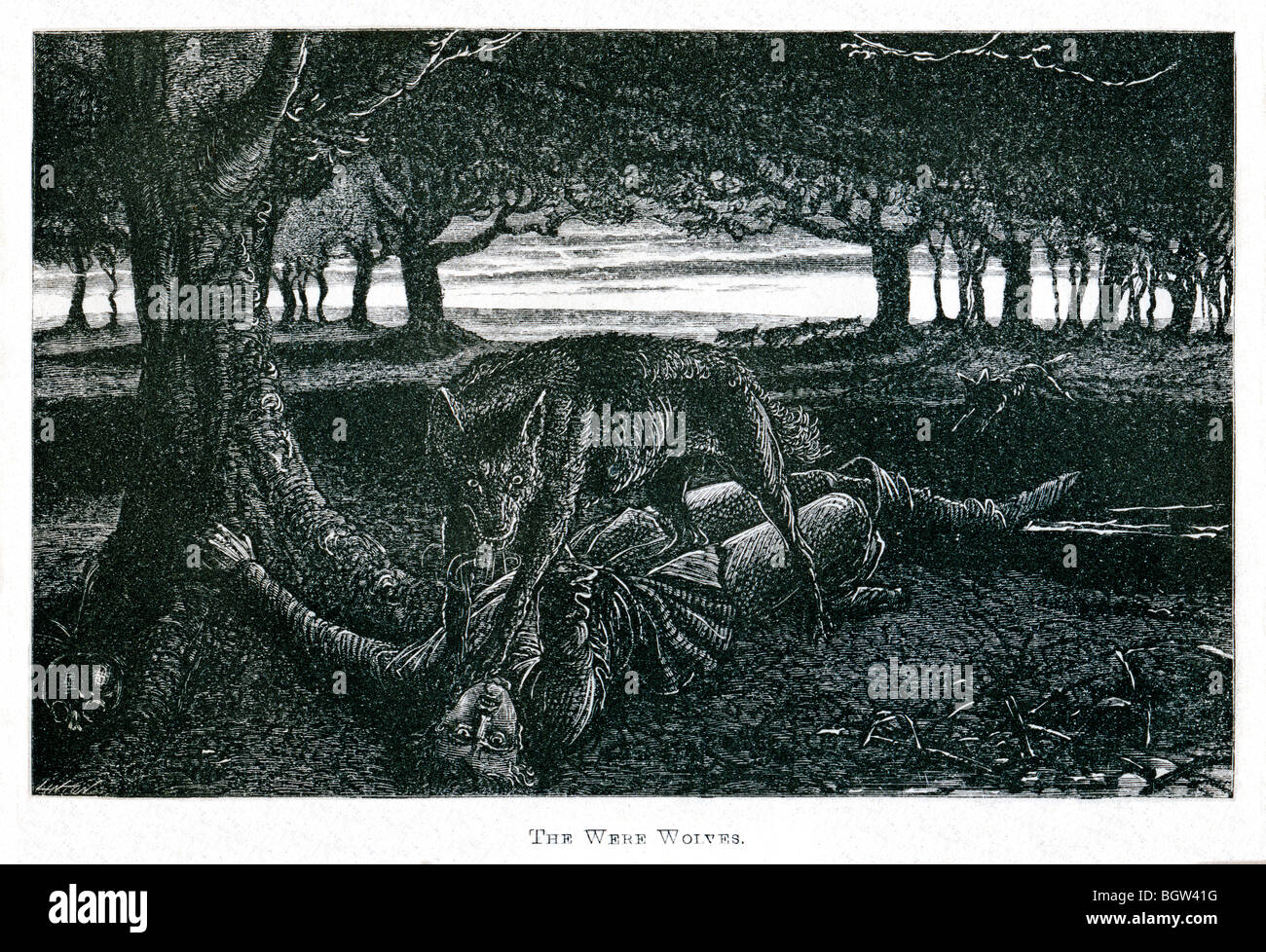 Il erano lupi; illustrazione dal libro di lupi mannari da Sabine Baring-Gould pubblicato a Londra nel 1865 Foto Stock