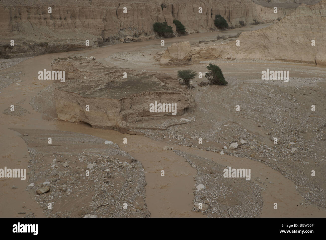 Fiume di Zin Foto Stock