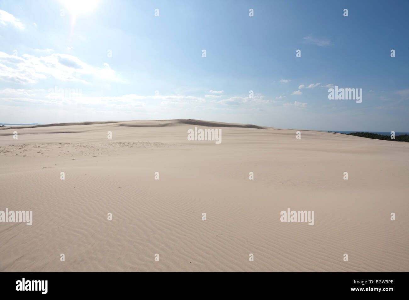 Onde di sabbia - formato da acqua e vento Foto Stock