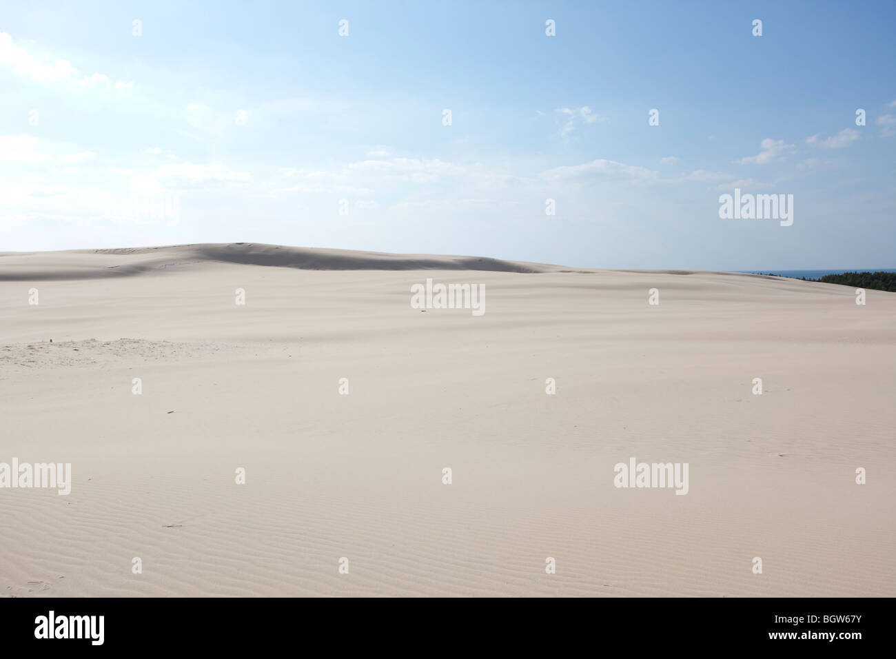 Onde di sabbia - formato da acqua e vento Foto Stock