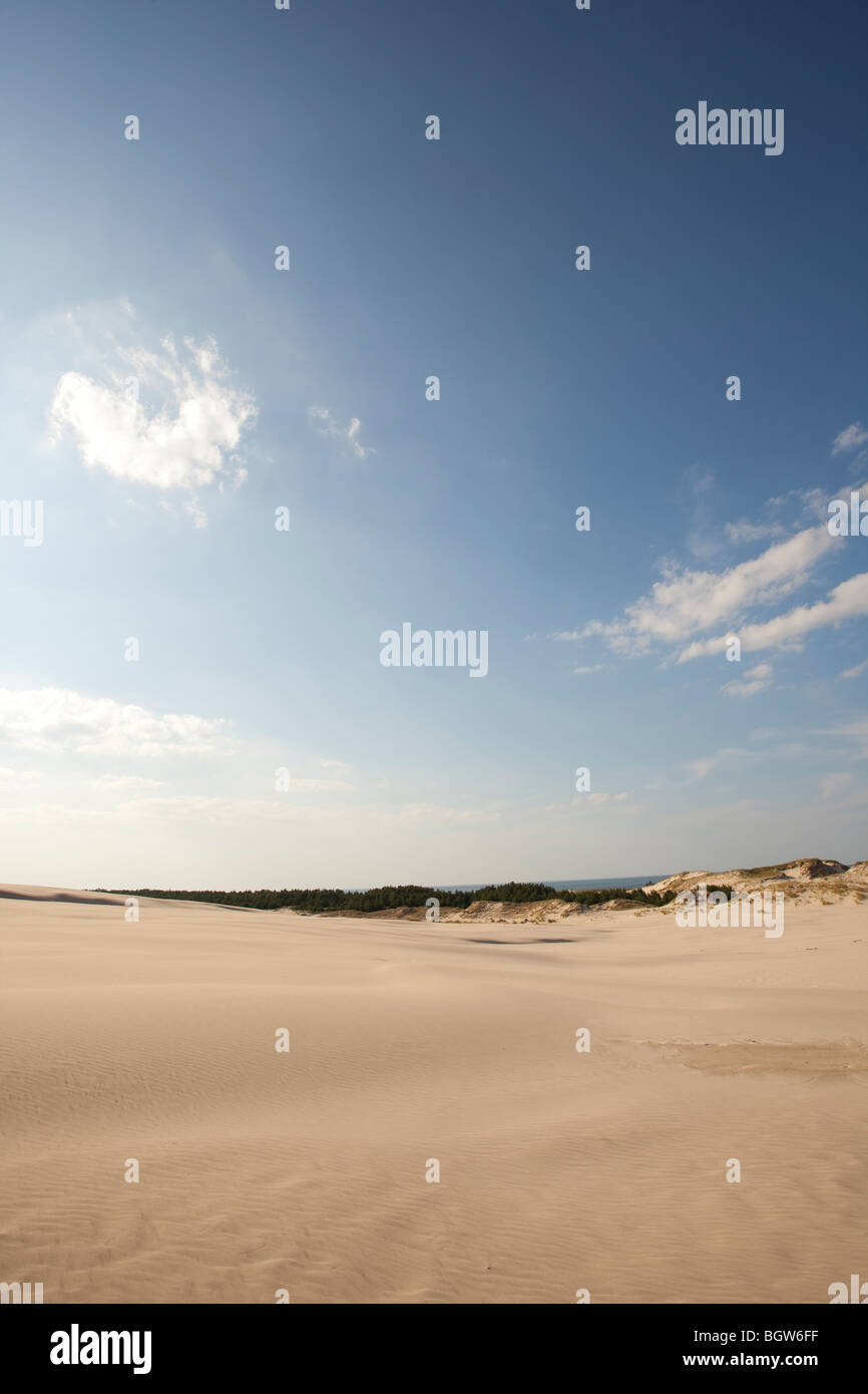 Onde di sabbia - formato da acqua e vento Foto Stock