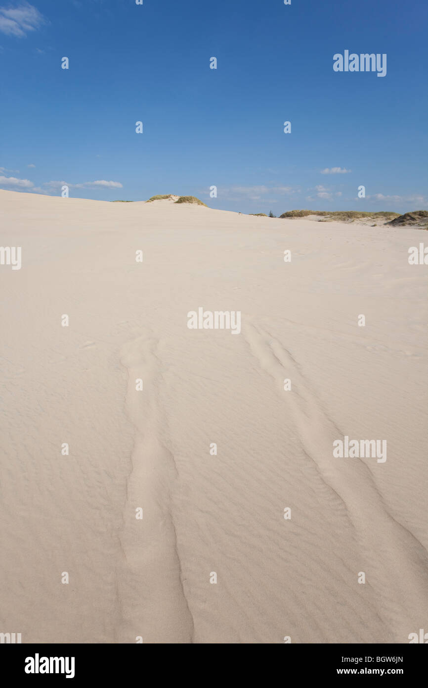 Onde di sabbia - formato da acqua e vento Foto Stock