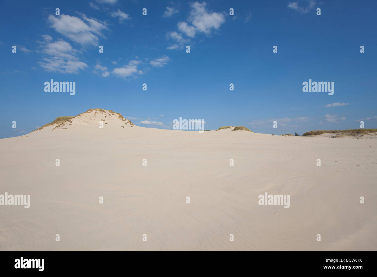 Onde di sabbia - formato da acqua e vento Foto Stock