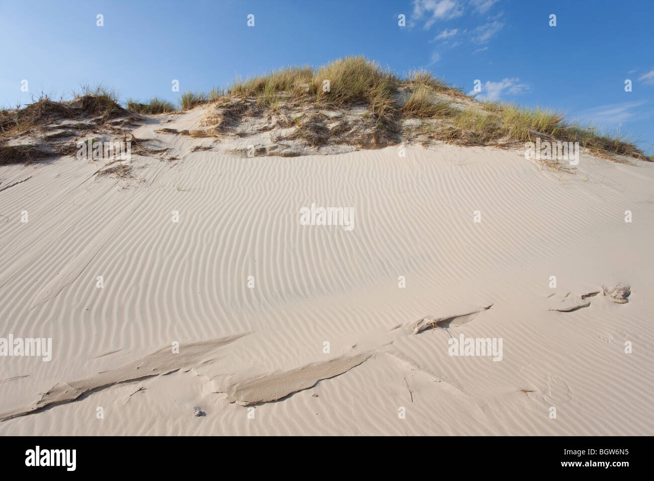 Onde di sabbia - formato da acqua e vento Foto Stock