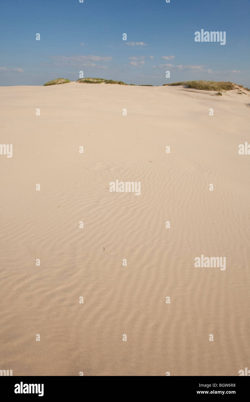 Onde di sabbia - formato da acqua e vento Foto Stock