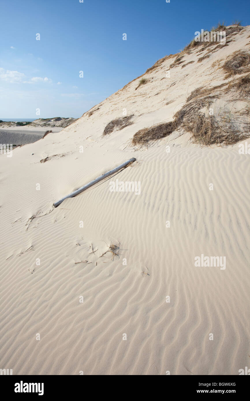 Onde di sabbia - formato da acqua e vento Foto Stock