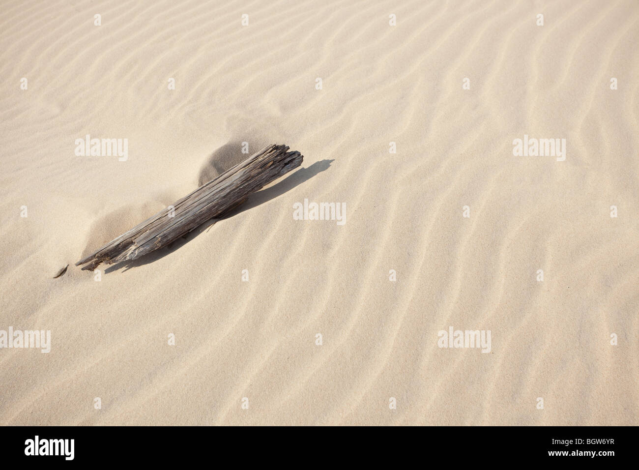 Onde di sabbia - formato da acqua e vento Foto Stock