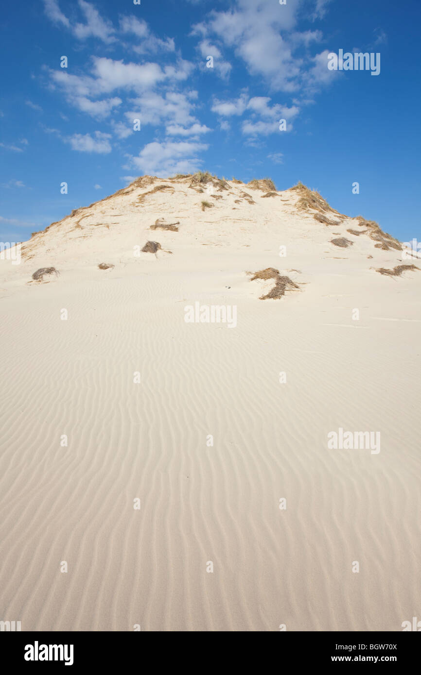 Onde di sabbia - formato da acqua e vento Foto Stock