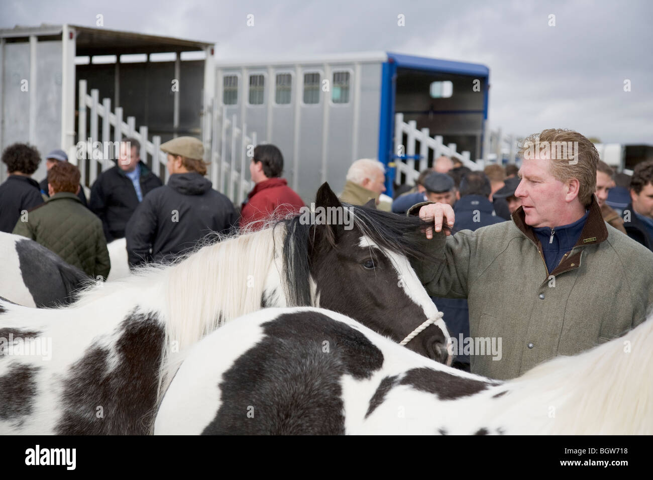 Persone con Gypsy Cob cavalli a Stow Fair, Stow-su-il-Wold, Gloucestershire, England, Regno Unito Foto Stock