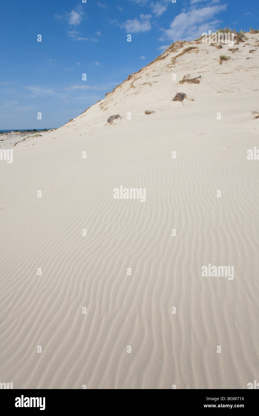 Onde di sabbia - formato da acqua e vento Foto Stock