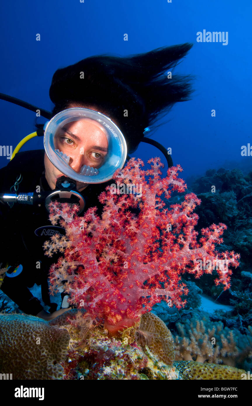 Femmina sub guardando rosso corallo morbido in Palau, maschera ovale, soft coral, colorato, Coral reef, oceano mare, scuba diving Foto Stock