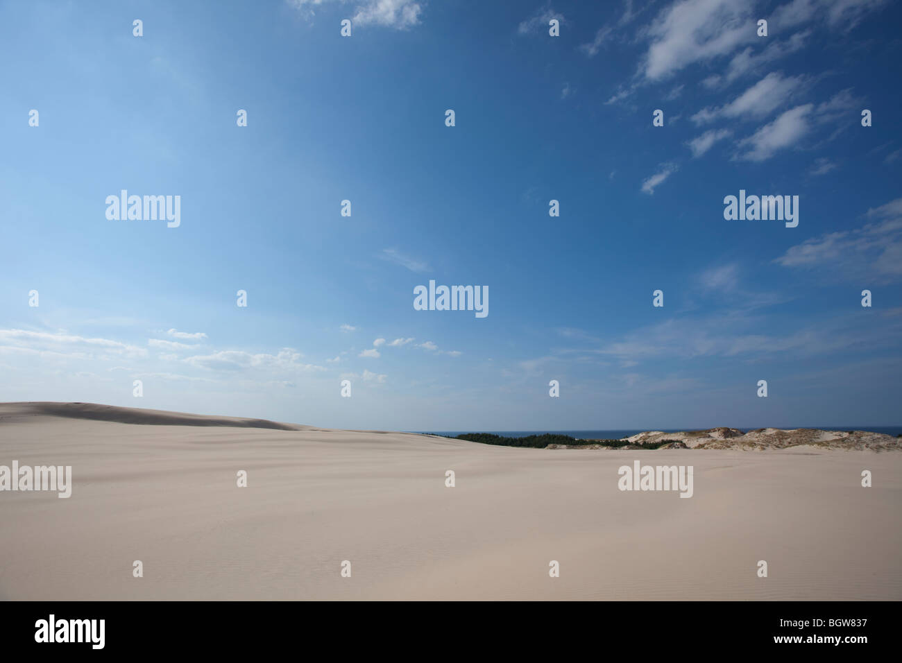 Onde di sabbia - formato da acqua e vento Foto Stock