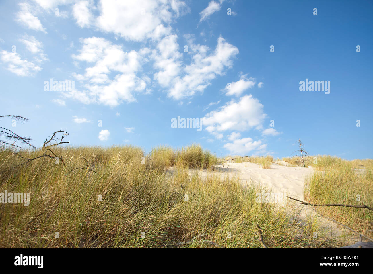 Onde di sabbia - formato da acqua e vento Foto Stock