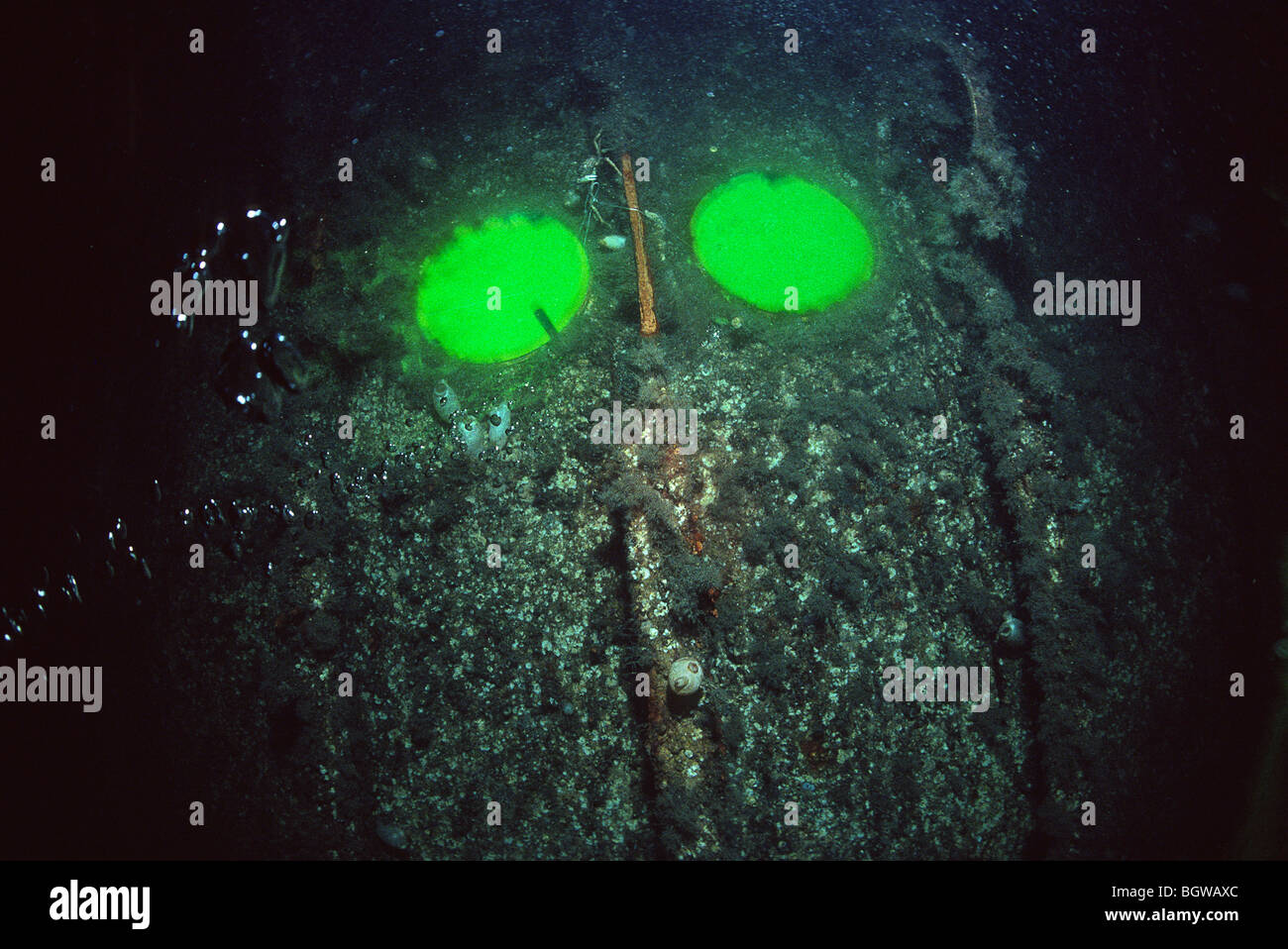 Relitto della ocean liner Imperatrice d'Irlanda underwater in San Lawrence Estuary in Canada Foto Stock