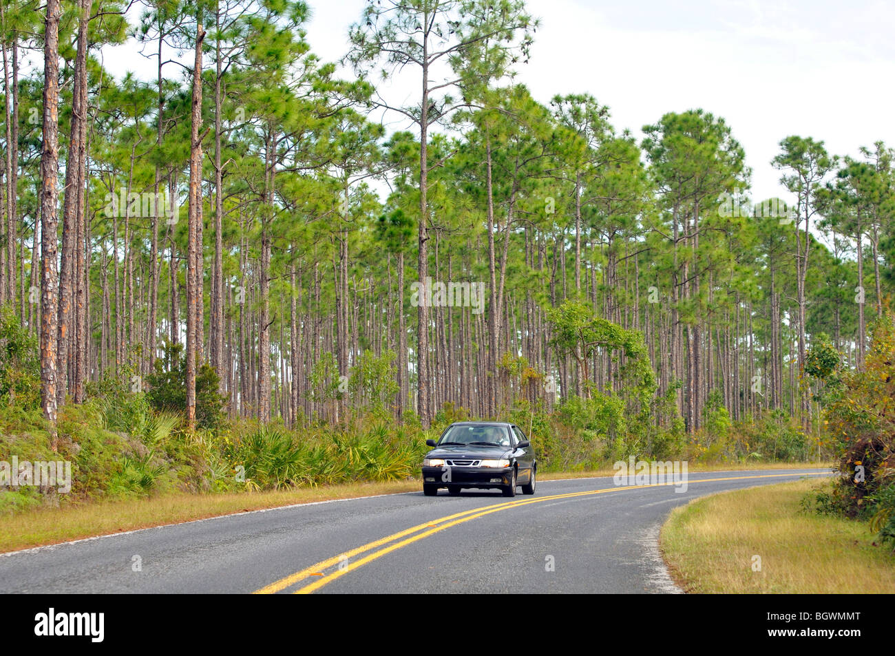 Parco nazionale delle Everglades, Florida, Stati Uniti d'America Foto Stock