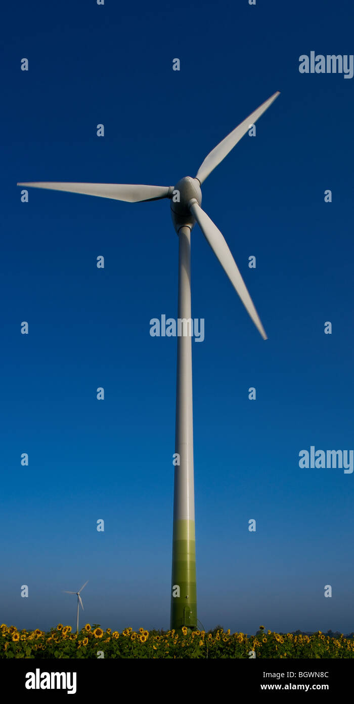 Fonti di energia rinnovabili Foto Stock