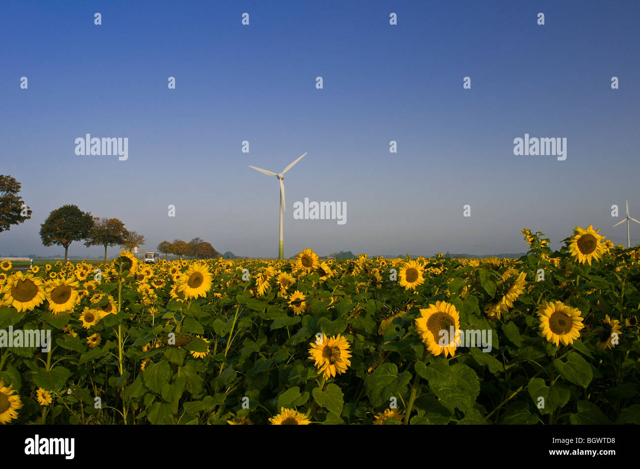 Fonti di energia rinnovabili Foto Stock