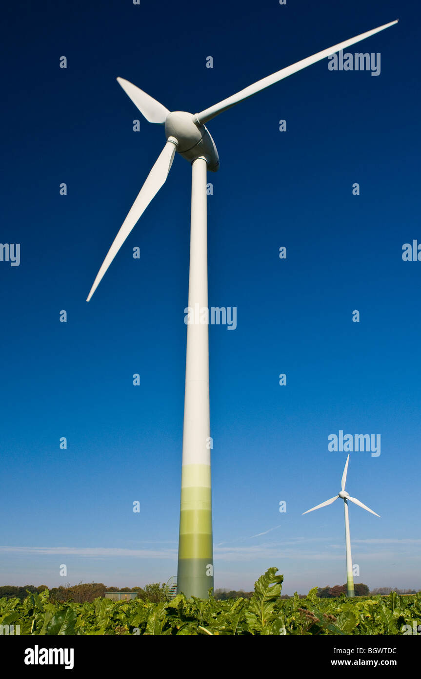 Fonti di energia rinnovabili Foto Stock