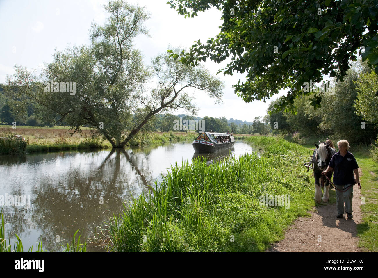 Un Welsh Cobb cavallo è guidato lungo una strada alzaia in corrispondenza di essa tira una chiatta sul fiume Wey nel Surrey, Inghilterra, Regno Unito. Foto Stock