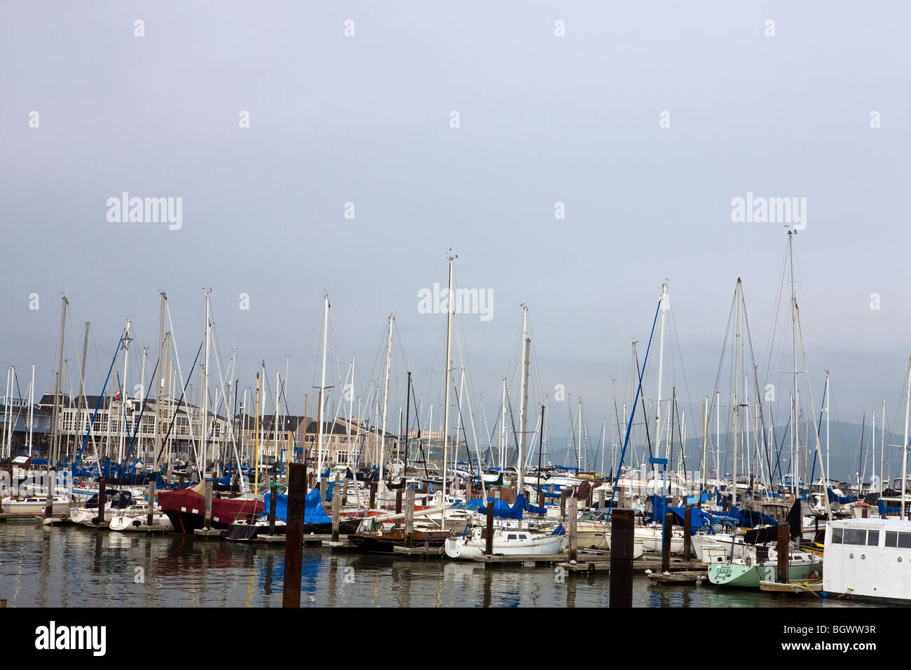 Barche a vela allineati in un porto turistico vicino al Fishermans Wharf, Pier 39, San Francisco, California. Foto Stock