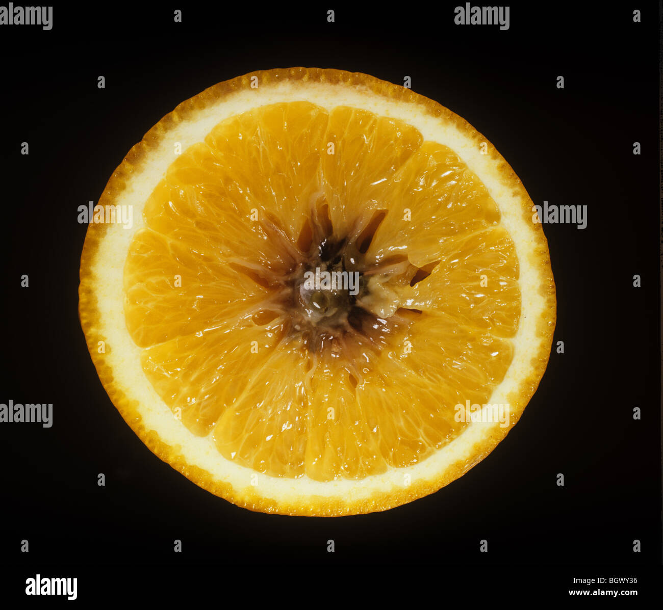 Navel fine rot (Alternaria citri) mostrato in arancione sezione di frutta Foto Stock