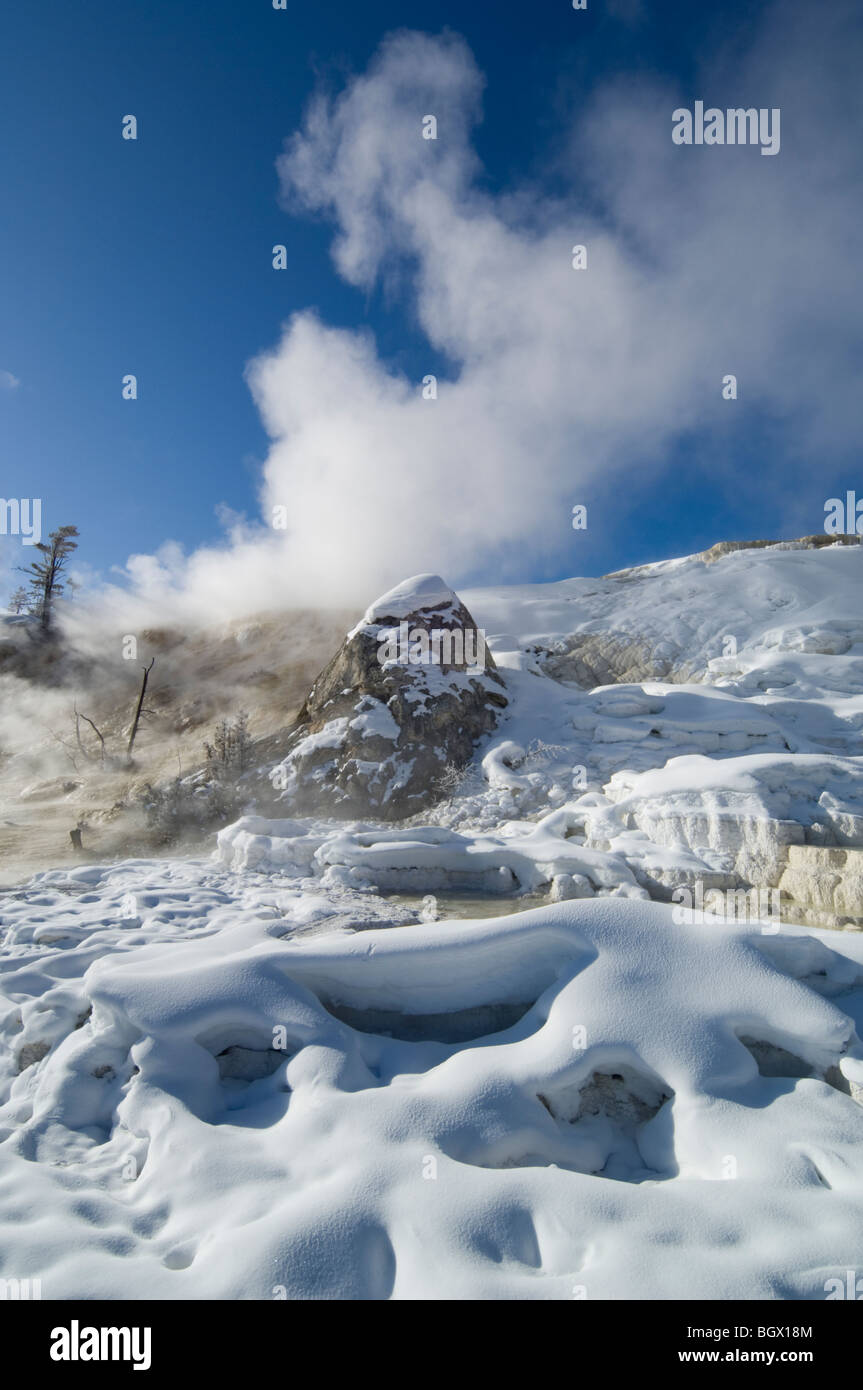 Il vapore e la neve si combinano con il 'Devil il pollice' Tavolozza a molla per un drammatico paesaggio invernale-Mammoth Hot Springs Foto Stock