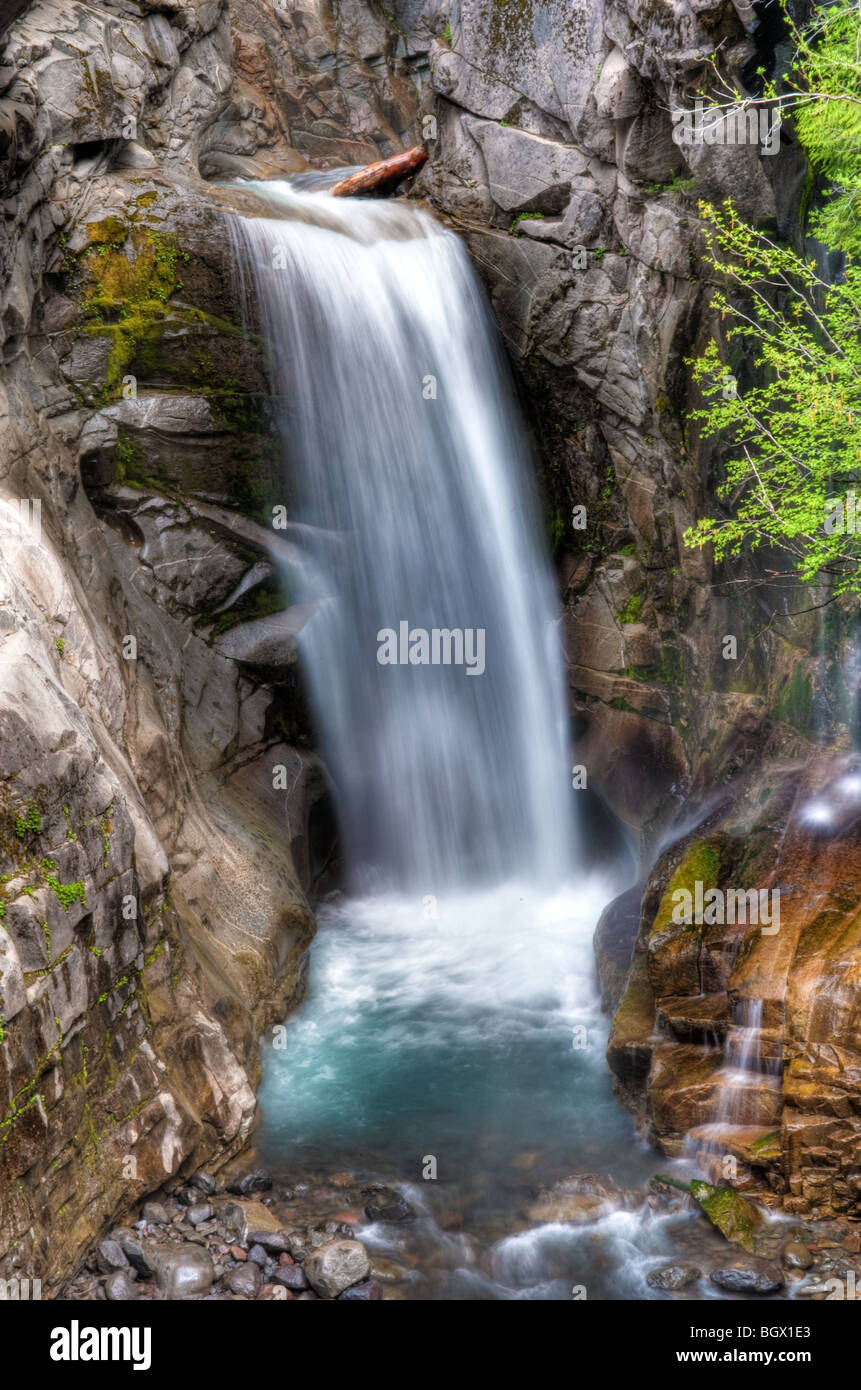 Christine scende in Mt. Rainier National Park Foto Stock