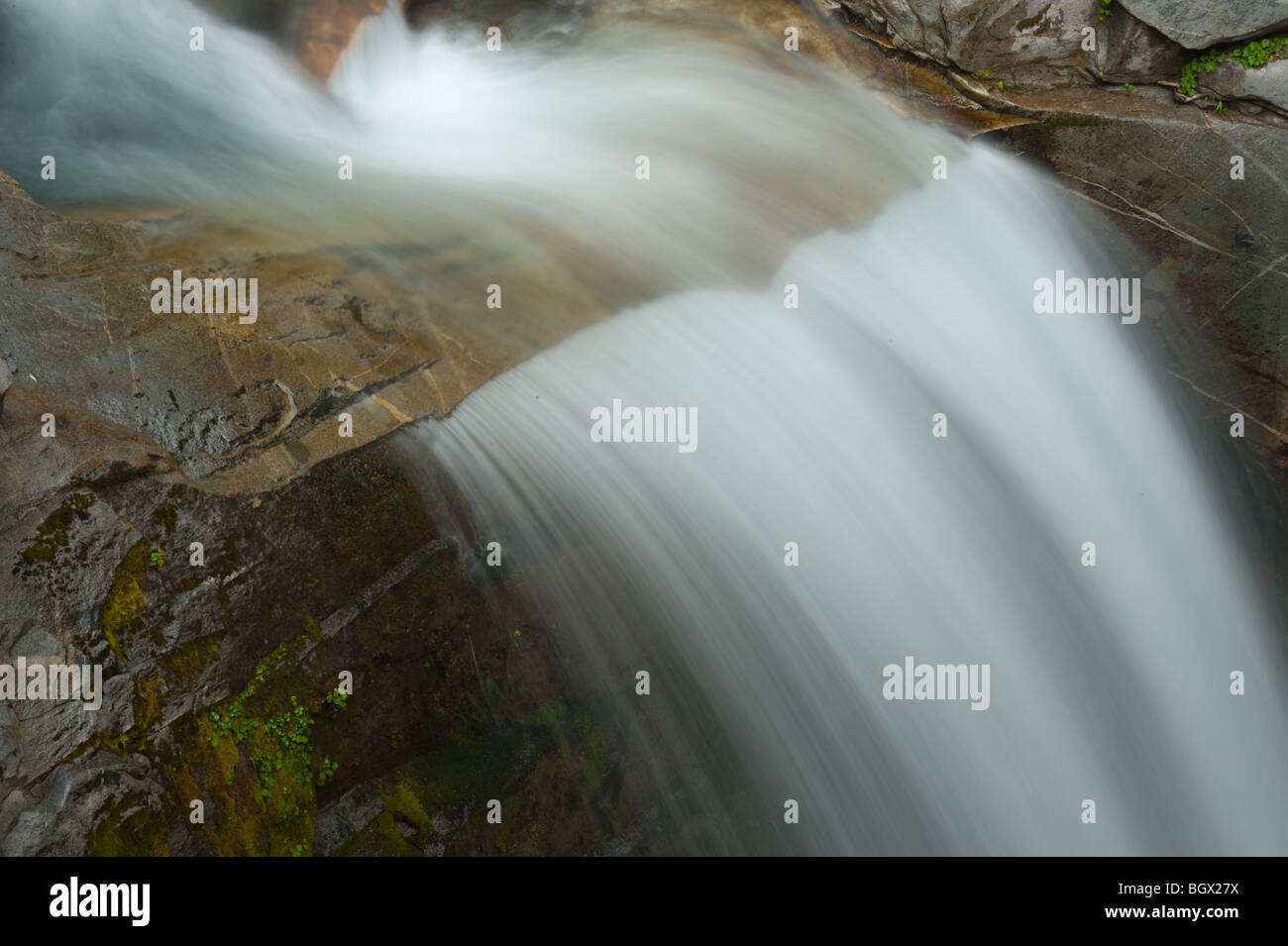 Christine scende in Mt. Rainier National Park Foto Stock