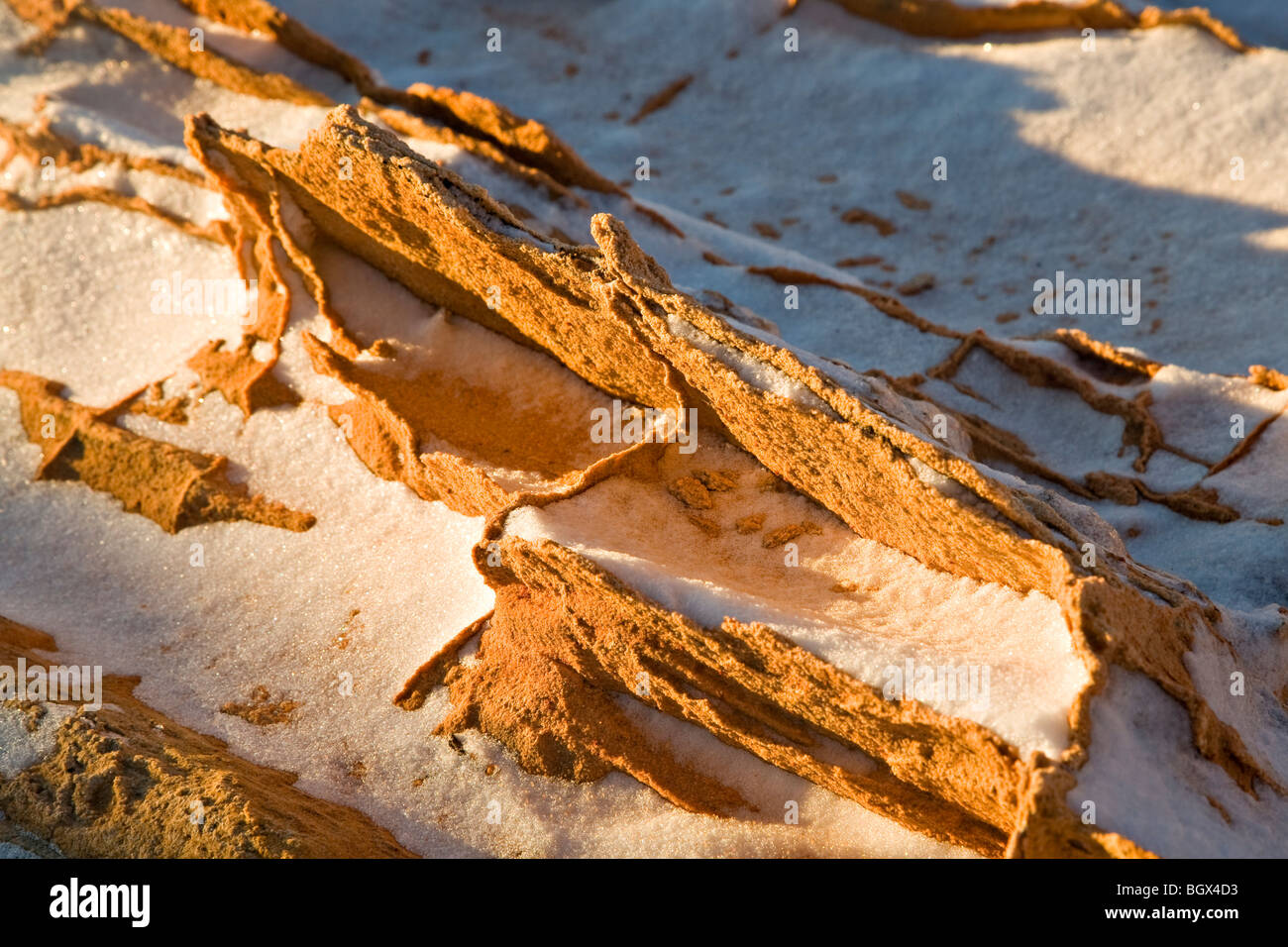 Dettaglio di arenaria e neve Foto Stock