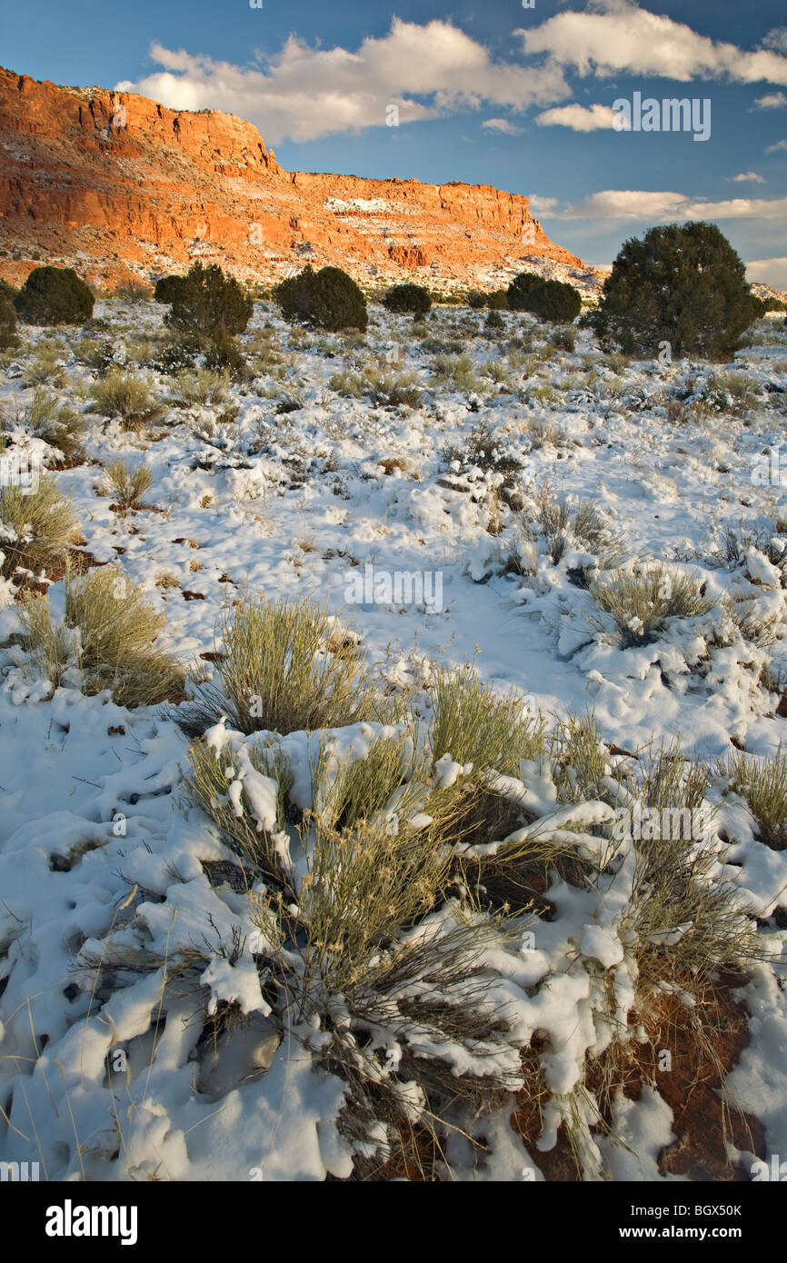 Neve sulle scogliere di Vermiglio in Arizona Foto Stock