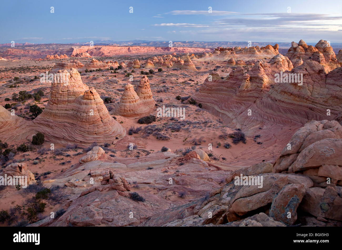 Vista di pioppi neri americani Teepees formazioni rocciose in Coyote Buttes Foto Stock