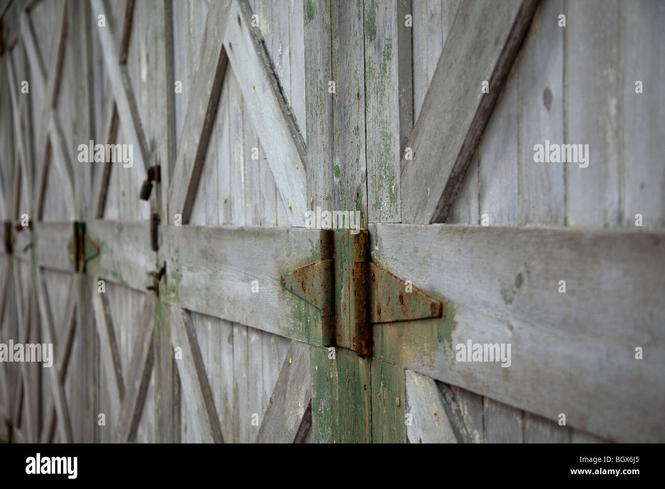 Rusty cerniera su una porta Foto Stock